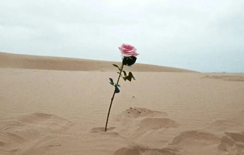 Oko Ebombo - Ordinary People - Patta